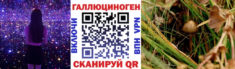 ссылка на мегу как зайти  Купино  Галлюциногенные грибы прущие грибы 